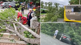 O vijelie de jumătate de oră a făcut pagube în Capitală. Copacii rupți au căzut pe oameni, mașini și autobuze