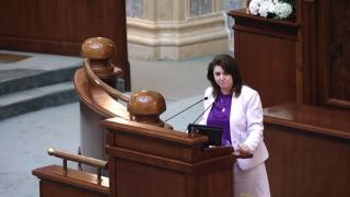 Monica Anisie s-a încurcat în gramatică vorbind în Senat despre Legile Educaţiei. USR şi Forţa Dreptei vor contesta proiectul la CCR