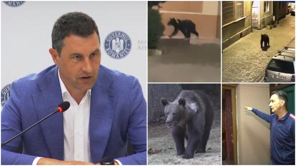 Ce s-ar ascunde în spatele ordinului dat de Tanczos Barna în ultima zi ca ministru: uciderea a 500 de urşi