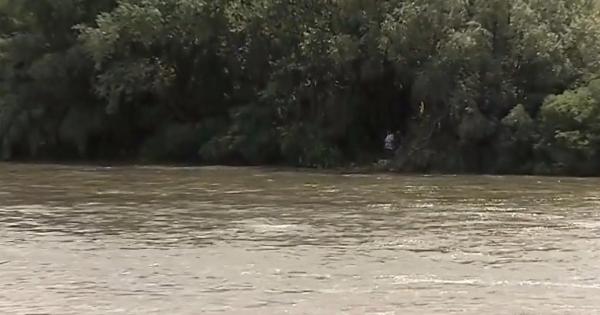 Dezastru ecologic pe râul Argeș, în zona podului Clătești. Mii de pești morți plutesc deasupra apei și sunt duși de curenți către Dunăre