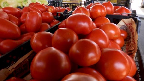 Bătălia roşiilor româneşti: Fermierii trebuie să vândă tone de tomate ca să încaseze subvenţia de la stat