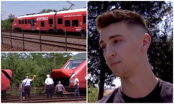 Tren către mare, blocat 3 ore pe un câmp de lângă Bucureşti după ce a lovit o căprioară cu peste 160 km/h: "S-a auzit bubuitura rău de tot"