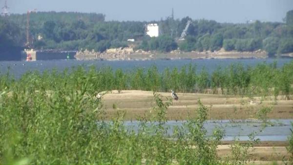 Insula care apare şi dispare în fiecare vară, în mijlocul Dunării. Oamenii sunt în acelaşi timp fascinaţi şi speriaţi de acest fenomen
