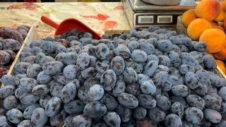 Cu cât se vinde 1 kg de prune: trucul pentru a obţine un preţ mai mic. România e cel mai mare producător din UE