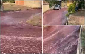 Străzile unui oraş din Portugalia s-au colorat în roşu, după ce două milioane de litri de vin au luat-o la vale
