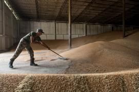 România, Polonia și Ungaria fac front comun în problema importurilor de cereale ucrainene. Kievul amenință cu procese