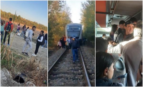 "Oameni bătrâni trăgeau săracii sacoșele. De groază!" Zeci de călători au luat-o la pas, pe calea ferată, după ce trenul care îi aducea la București s-a defectat în câmp