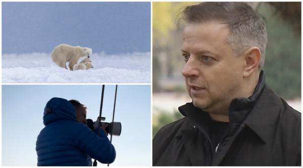 Viaţa urşilor polari, surprinsă de un fotograf român, într-o expediţie inedită. Locul în care riscă să fie "arestaţi" şi duşi la închisoare