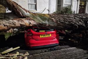 Furtuna Henk face ravagii în Marea Britanie: copaci prăbuşiţi şi aproape 40.000 de case fără electricitate