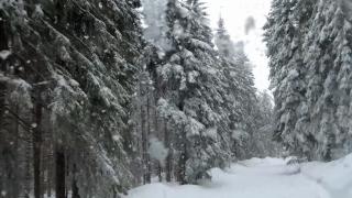 Decor de poveste la Topliţa. Turiştii veniţi să sărbătorească Crăciunul pe rit vechi, întâmpinaţi de zăpadă: "Este fantastic, o adevărată minune"