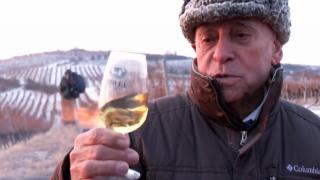 Cum se face Eiswein, vinul de gheață din România. L-a cucerit și pe Papă: "Este de o mare complexitate. Nu băut, savurat!"