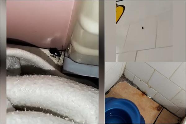 Imagini revoltătoare: copii trataţi printre gândaci şi mizerie, la o pediatrie din Botoşani. Salonul ar fi fost dezinfectat cu o zi în urmă