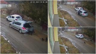 Bărbat filmat în timp ce abandonează trei pui de câine pe o stradă din Cluj. A fost găsit de polițiști și amendat cu 4.000 de lei