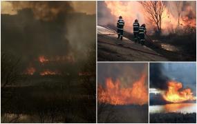 Incendiu devastator în Delta Văcăreşti. Şase hectare de vegetaţie s-au făcut scrum, iar fumul dens s-a întins pe kilometri distanţă