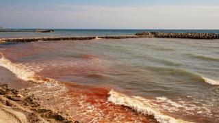 Marea Neagră a devenit roşie, iar valurile sunt noaptea fosforescente. Explicaţia cercetătorilor pentru fenomen