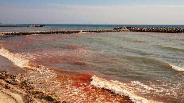 Marea Neagră a devenit roşie, iar valurile sunt noaptea fosforescente. Explicaţia cercetătorilor pentru fenomen