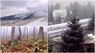 România, lovită de un ciclon care aduce ninsori şi temperaturi de câteva grade. Zonele în care iarna revine în forţă