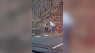 Tânăr, filmat cum opreşte maşina în mijlocul drumului, pe Transfăgărăşan, şi coboară pentru a hrăni un urs