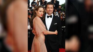 Brad Pitt a câștigat procesul împotriva Angelinei Jolie pentru podgoria din Franţa 