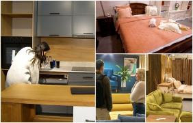 Iuliana şi-a făcut mobila de vis pe comandă. Pentru un apartament cu 3 camere costurile pentru produsele exclusiviste pot ajunge şi la 18.000 de euro