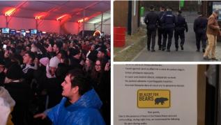 Un RO-ALERT a declanşat panica printre 10.000 de oameni aflaţi la festivalul Massif din Poiana Brașov. Oamenii, speriaţi că pot fi atacaţi de un urs