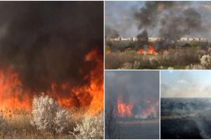 Delta Văcăreşti a ars din nou, iar peste 10.000 de metri pătraţi s-au făcut scrum: "Prostia unora care aruncă un chiştoc de ţigară"