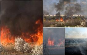 Delta Văcăreşti a ars din nou, iar peste 10.000 de metri pătraţi s-au făcut scrum: "Prostia unora care aruncă un chiştoc de ţigară"