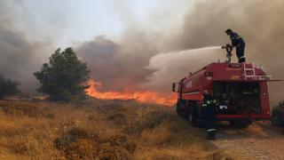 Grecia se confruntă deja cu zeci de incendii de vegetație, semn că se anunță o vară infernală