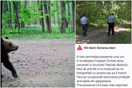 Ursul văzut la 40 de km de Bucureşti încă nu a fost găsit. Animalul ar fi fost atras de gunoaiele aruncate la marginea pădurii