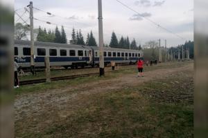Haos pe calea ferată după ce un copac s-a prăbuşit pe linia trenului Galaţi-Cluj. Bătrâni şi copii, blocaţi pe câmp
