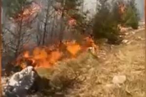 40 de hectare de vegetaţie, făcute scrum de un incendiu devastator. S-a cerut sprijinul Armatei pentru a stinge focul