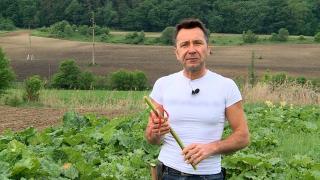 Mircea a investit într-o plantaţie unică în ţară şi simte acum gustul dulce al profitului. Un fermier german l-a inspirat: 