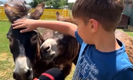 Locul din România unde copiii uită de telefoane și se împrietenesc cu animalele Locul din România unde copiii uită de telefoane și se împrietenesc cu animalele