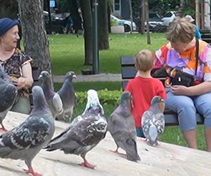 Obiceiul care îi poate costa scump pe bucureșteni: amenzi de mii de lei