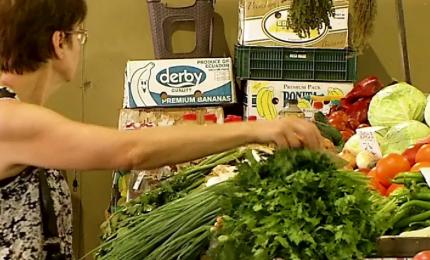 Legume din Uzbekistan, vândute cu etichetă de România. Nereguli găsite într-un depozit din Ilfov Legume din Uzbekistan, vândute cu etichetă de România. Nereguli găsite într-un depozit din Ilfov