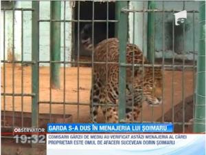 Gradina zoologica privata detinuta de Dorin Soimaru, verificata de Garda de Mediu