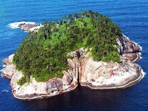 AICI, pericolul atinge cote MAXIME! Queimada Grande, cea mai înfricoşătoare insulă din lume