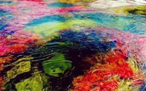 Imagini SPECTACULOASE! Cano Cristales, râul care se transformă în CURCUBEU