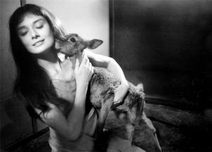 Galerie foto specială! Imagini rare cu Audrey Hepburn