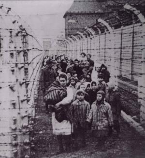 Imagini CUTREMURĂTOARE! 70 de ani de la ELIBERARE! Auschwitz, coşmarul evreilor!