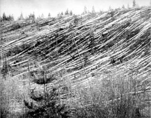 30 iunie 1908, FENOMENUL TUNGUSKA. Explozia echivalentă cu 20 de bombe atomice arunca în aer 2.150 de km2