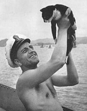 Nescufundabilul SAM, motanul care a fentat moartea! A supravieţuit scufundării a trei dintre cele mai importante nave din cel de-al Doilea Război Mondial