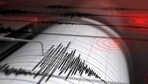 Cutremur în România, în această dimineaţă. Seismul s-a produs în Vrancea, la peste 70 km adâncime