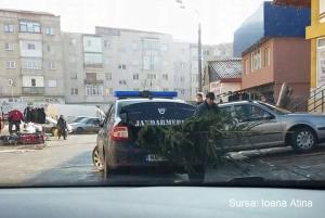Brad de Crăciun "arestat" cu maşina jandarmeriei, în Fălticeni