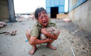 Imagini DEVASTATOARE care fac înconjurul lumii! Un fermier este sfâşiat de durere din cauza pagubelor provocate de inundaţii (GALERIE FOTO)