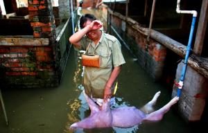Imagini DEVASTATOARE care fac înconjurul lumii! Un fermier este sfâşiat de durere din cauza pagubelor provocate de inundaţii (GALERIE FOTO)