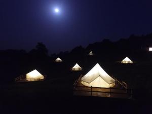 Ce zici, îi faci o vizită? Primul camping de lux din România arată BESTIAL! Cât costă o noapte de cazare într-un cort încântător (FOTO)