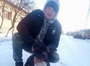 Cruzimea față de animale a unui arădean provoacă indignare în România. Tânărul a fost filmat când și-a pus pitbull-ul să masacreze un alt câine. AVERTISMENT, IMAGINI ȘOCANTE!