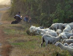 Ei sunt ASASINII tinerilor români găsiţi cu capetele ZDROBITE pe un câmp, în Italia! Motivul odioasei crime este HALUCINANT