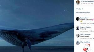 DE CE JOACĂ adolescenţii Balena Albastră. DEZVĂLUIRILE incredibile ale unui poliţist care s-a infiltrat în grupurile morţii (FOTO&VIDEO)